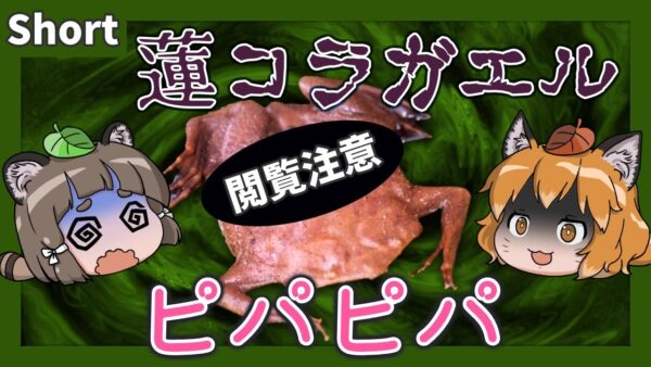 【#Shorts】閲覧注意系カエル！ピパピパ【へんないきものS#03/ゆっくり解説】