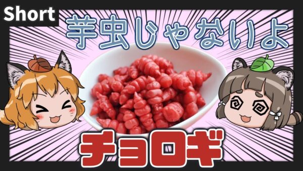【#Shorts】芋虫じゃないよ野菜だよ！チョロギ【へんないきものS#05/ゆっくり解説】