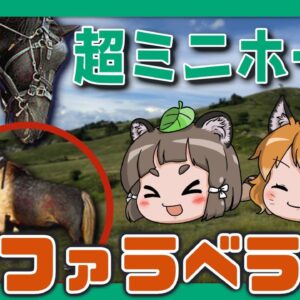 【#Shorts】超ミニミニホース！ファラベラ【へんないきものS#06/ゆっくり解説】