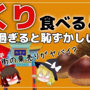 【ゆっくり解説】くりを毎日食べるヤバい？中華街にいる謎の栗売りについて
