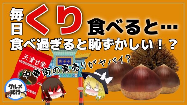 【ゆっくり解説】くりを毎日食べるヤバい？中華街にいる謎の栗売りについて