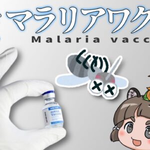 【ゆっくり解説】世界を変える！マラリアワクチンついに完成｜マラリアの恐ろしさとは