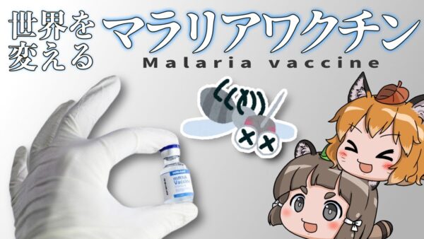 【ゆっくり解説】世界を変える！マラリアワクチンついに完成｜マラリアの恐ろしさとは