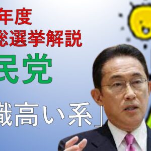 【公約解説】自民党の公約を紹介・解説してみた