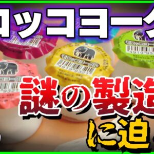 【ゆっくり解説】懐かしの駄菓子モロッコヨーグルの原材料は危険⁉製造方に迫る！
