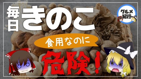 【ゆっくり解説】きのこを毎日食べるとどうなるの？食用キノコも危険！スーパーで購入できるキノコについて