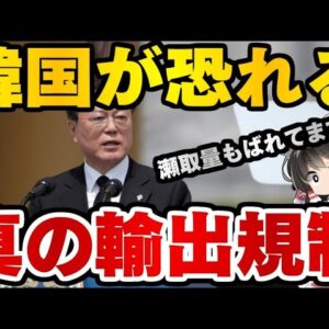 韓国仰天ニュース！韓国が恐れる本当の輸出規制とは？【ゆっくり解説】