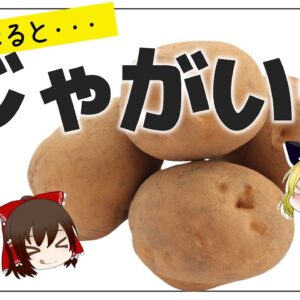 【ゆっくり解説】じゃがいも毎日食べたら病気に！？ポテトを主食にして起こった健康効果について