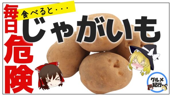 【ゆっくり解説】じゃがいも毎日食べたら病気に！？ポテトを主食にして起こった健康効果について