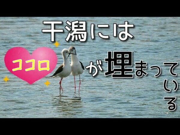 【みじカメの話】真心と下心