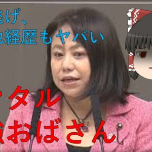 【ゆっくり解説】一向に辞めそうにない木下議員について
