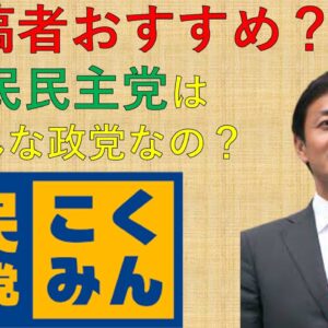 困ったらここに入れるべき？国民民主党の解説