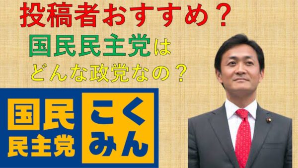 困ったらここに入れるべき？国民民主党の解説
