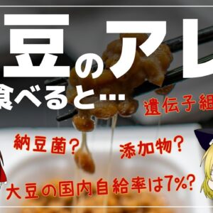 【ゆっくり解説】納豆は身体にいい！でも見落としてない？アレには添加物がいっぱい！？危険性について