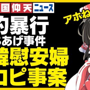 ザ・韓国仰天ニュース！現代で慰安婦リプレイをした女性、基礎される【ゆっくり解説】