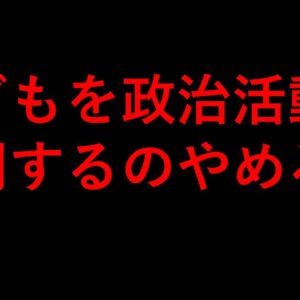 子どもを政治利用するのはやめてくれ