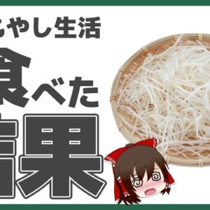 【ゆっくり解説】もやしを毎日食べるとどうなるの？危険な食べ方について