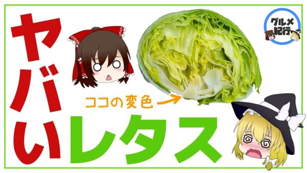 【ゆっくり解説】レタスが赤く変色！これってヤバイ？実は知らないレタスの謎について