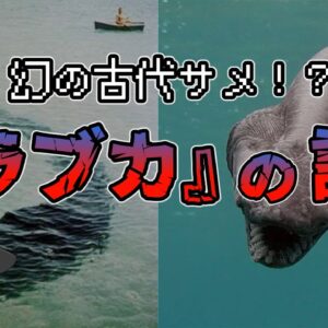 【ゆっくり解説】幻の古代サメ！？深海魚『ラブカ』の謎