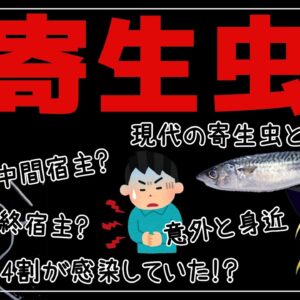 【ゆっくり解説】生魚は危険！寄生虫が体に入るとどうなってしまうのか？意外と身近な食品について