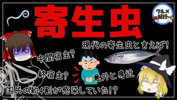 【ゆっくり解説】生魚は危険！寄生虫が体に入るとどうなってしまうのか？意外と身近な食品について
