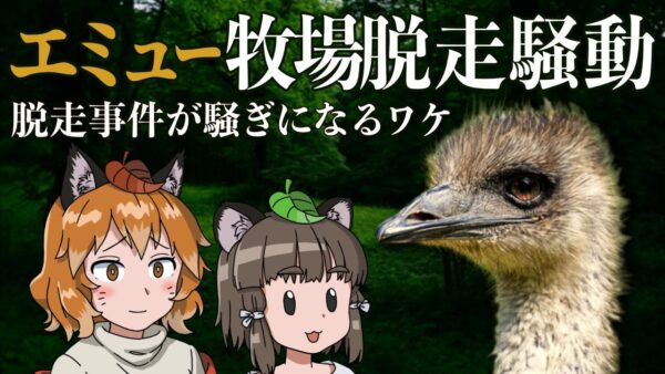 【ゆっくり解説】エミュー牧場脱走騒動｜脱走事件が騒ぎになるワケ