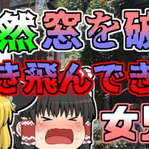 【1977年】大幅な速度超過...突然窓から飛び込んできた女児...いったい何が？【ゆっくり解説】