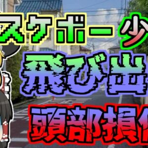 【1999年】スケボーに乗った少女 飛び出した先には乗用車...運悪く頭を巻き込まれ…「スケートボード飛び出し」【ゆっくり解説】