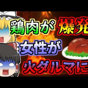 【1999年】七面鳥を揚げようとして火柱が上がり、火だるまになった女性...「冷凍ターキー炎上事故」【ゆっくり解説】