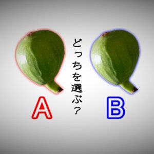 【ゆっくり解説】#20 イチジクコバチ～ハズレ引いたら地獄！？究極の選択！！～【閲覧注意】