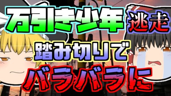 【2003年】捕まった少年 警察から逃走し、踏み切りに滑り込むが...「窃盗少年列車事故」