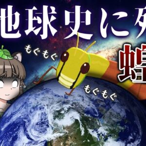 【ゆっくり解説】地球史に残る史上最悪の蝗害4選