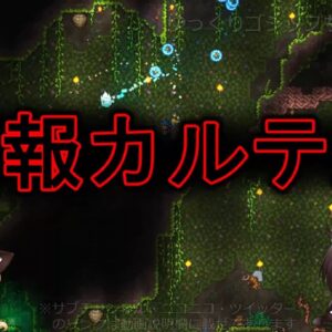 【ゆっくり解説】79 国民の多くが結婚を祝福？謎の「祝福ムード」と大人の事情