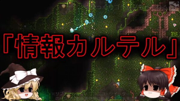 【ゆっくり解説】79 国民の多くが結婚を祝福？謎の「祝福ムード」と大人の事情