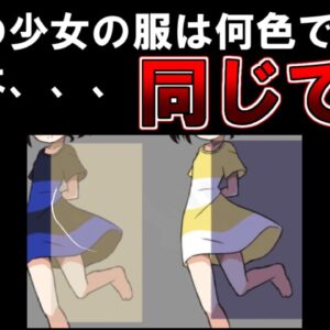【ゆっくり解説】99%の人が間違います。もし服の色が違ってみえたら動画をみてください