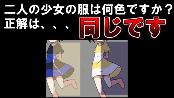 【ゆっくり解説】99%の人が間違います。もし服の色が違ってみえたら動画をみてください