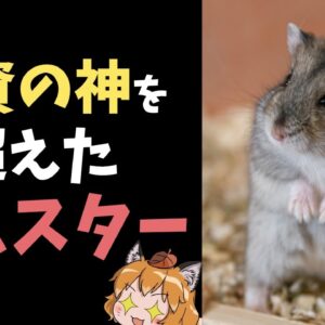 【#Shorts】お金が1.5倍に！？ハムスターが投資の神様を超えてしまった件【ゆっくり解説】