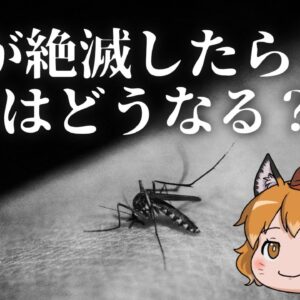 【ゆっくり解説】蚊が絶滅したら地球はどうなる？