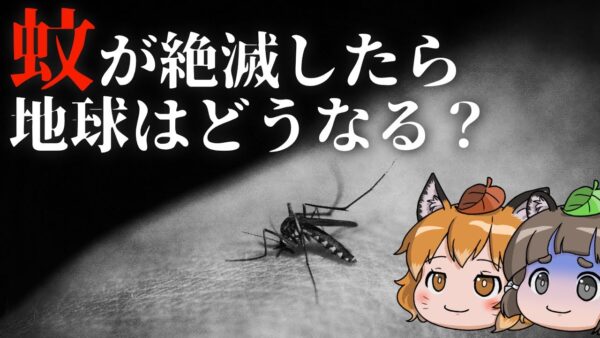 【ゆっくり解説】蚊が絶滅したら地球はどうなる？