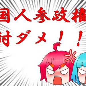 【全国民必見】外国人参政権を認めてはいけない理由