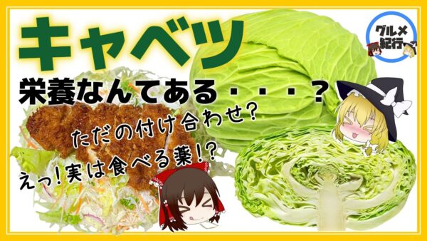 【ゆっくり解説】キャベツって栄養あるの？その芯捨てないで！実はすごいキャベツについて