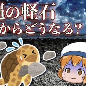 【ゆっくり解説】沖縄の軽石問題｜生き物への影響は？噴火の余波は今後どうなる？