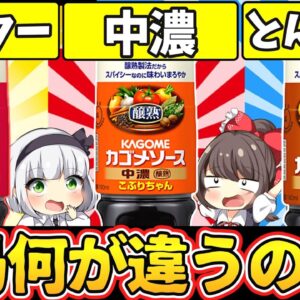 【ゆっくり解説】ソース史上最大の謎‼ウスター、中濃、とんかつソースは別物‼︎ソースの歴史に迫る！