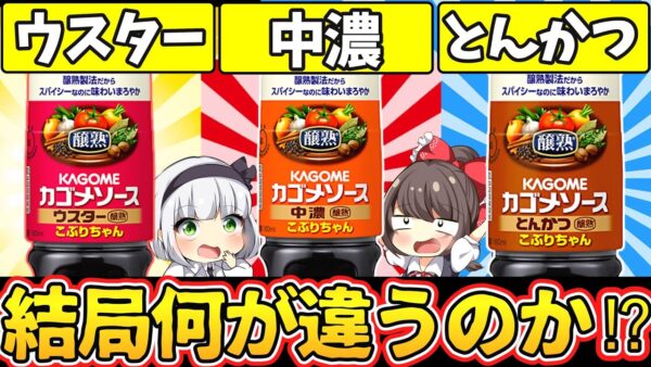 【ゆっくり解説】ソース史上最大の謎‼ウスター、中濃、とんかつソースは別物‼︎ソースの歴史に迫る！