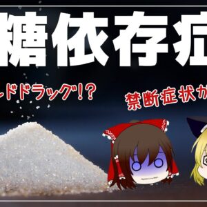 【ゆっくり解説】砂糖中毒になるとどうなる？毎日甘いものを食べた結果について