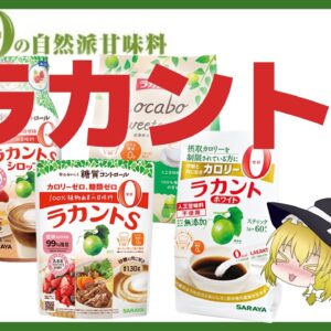 【ゆっくり解説】甘味料ラカントは本当に安全？ダイエットの味方？敵？危険性について