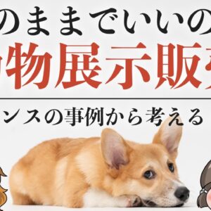 【ゆっくり解説】ペットショップの展示販売禁止！？フランスの事例から考える動物の衝動飼い問題（前編）