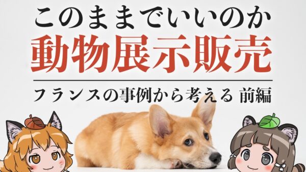 【ゆっくり解説】ペットショップの展示販売禁止！？フランスの事例から考える動物の衝動飼い問題（前編）