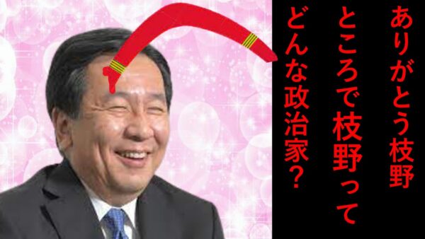 枝野幸男ってどんな政治家かゆっくり解説