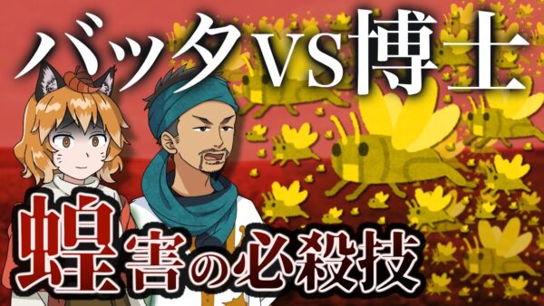 【ゆっくり解説】蝗害に王手！？ウルド先生の新発見でサバクトビバッタに必殺技炸裂！